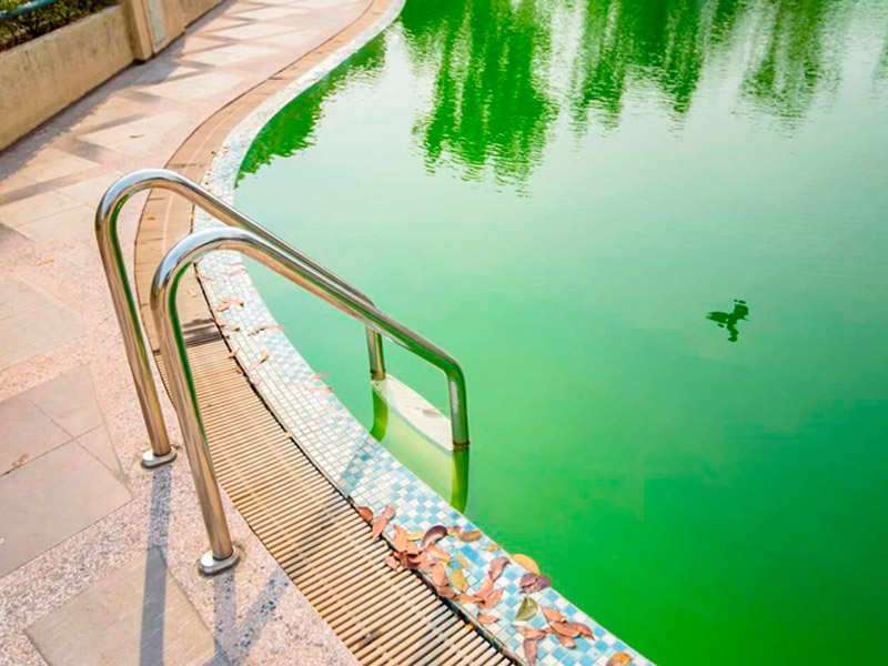 piscina verde - como tratar